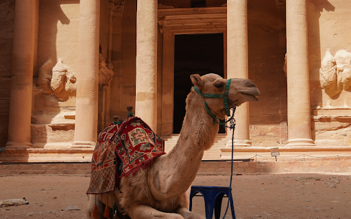 Camel and brocade  from Chrome web store to be run with OffiDocs Chromium online