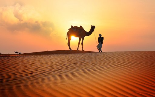 Camel and Sunset  from Chrome web store to be run with OffiDocs Chromium online