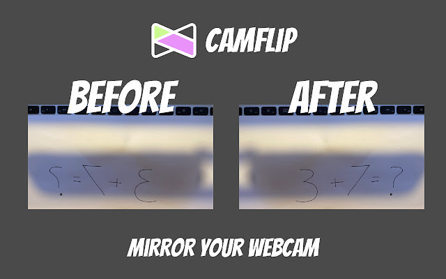 CamFlip  from Chrome web store to be run with OffiDocs Chromium online
