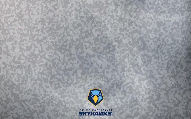 Camo Skyhawks 2019  from Chrome web store to be run with OffiDocs Chromium online