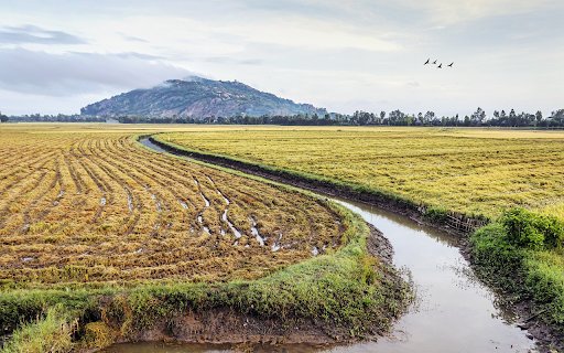 Canal in the fields  from Chrome web store to be run with OffiDocs Chromium online