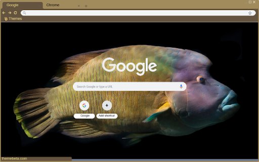 Ca napoleon  from Chrome web store to be run with OffiDocs Chromium online