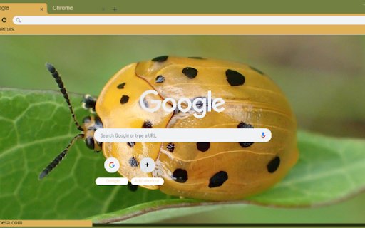 Canh Cung Vang  from Chrome web store to be run with OffiDocs Chromium online