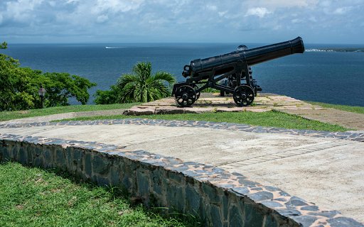 Cannon on the beach  from Chrome web store to be run with OffiDocs Chromium online