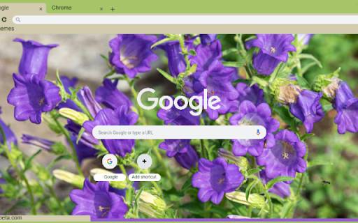 Canterbury Bells  from Chrome web store to be run with OffiDocs Chromium online