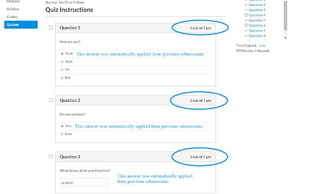 Canvas Quiz Loader  from Chrome web store to be run with OffiDocs Chromium online