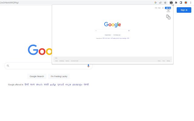 Capture una captura de pantalla de la tienda web de Chrome para ejecutarla con OffiDocs Chromium en línea