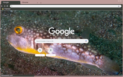 Ca Puffer  from Chrome web store to be run with OffiDocs Chromium online