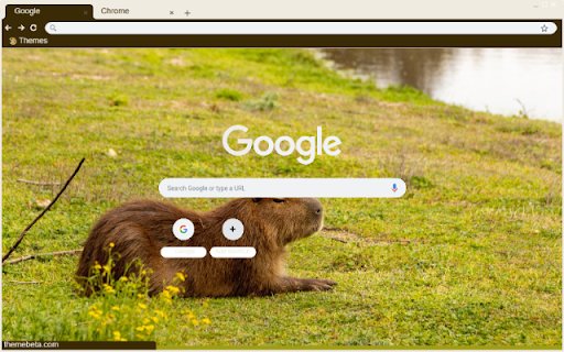 Capybara  from Chrome web store to be run with OffiDocs Chromium online