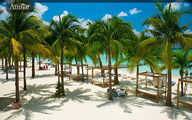 Caribbean Island – Palm Beach from Chrome web store to be run with OffiDocs Chromium online Caribbean Island – Palm Beach from Chrome web store to be run with OffiDocs Chromium online