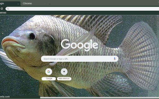 Ca ro  from Chrome web store to be run with OffiDocs Chromium online