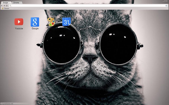 Cat 1366x768 ຈາກ Chrome web store ທີ່ຈະດໍາເນີນການກັບ OffiDocs Chromium ອອນໄລນ໌