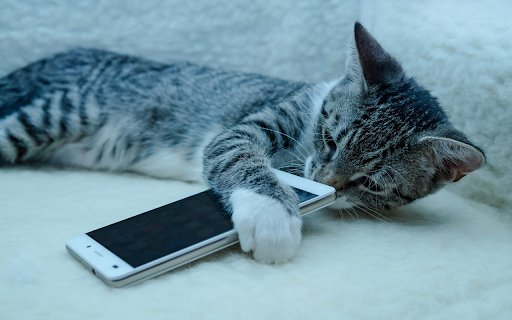 Cat and phone  from Chrome web store to be run with OffiDocs Chromium online