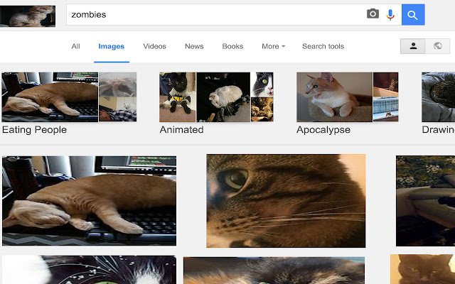 CatFestation  from Chrome web store to be run with OffiDocs Chromium online