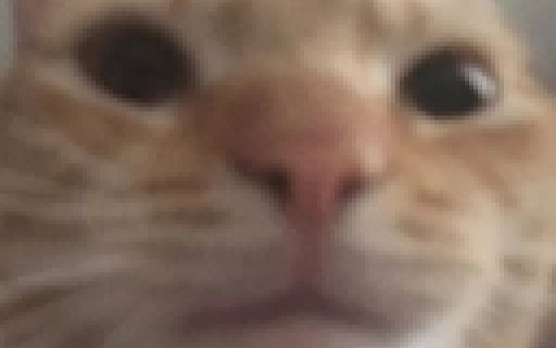 Cat Image Extension  from Chrome web store to be run with OffiDocs Chromium online