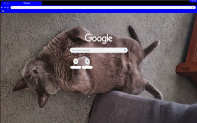 Cat Manspreading  from Chrome web store to be run with OffiDocs Chromium online