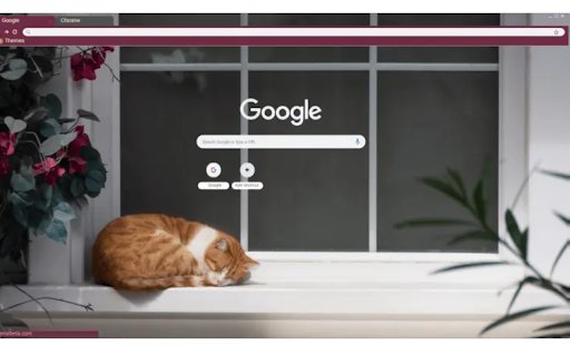 Cat Nap  from Chrome web store to be run with OffiDocs Chromium online