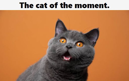 Cat of the moment  from Chrome web store to be run with OffiDocs Chromium online