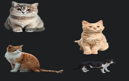 Cat Overlay Extension  from Chrome web store to be run with OffiDocs Chromium online