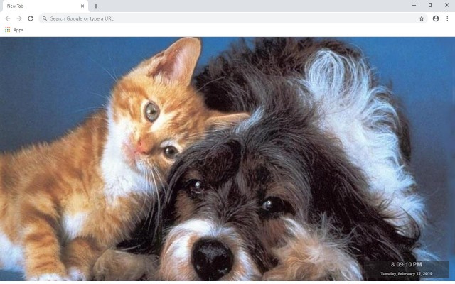 مجموعة خلفيات Cats Dogs New Tab من متجر Chrome الإلكتروني ليتم تشغيلها باستخدام OffiDocs Chromium عبر الإنترنت