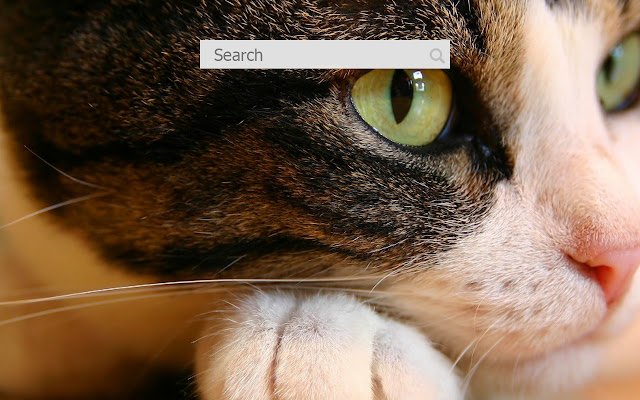 Cats New Tab dal negozio web di Chrome da eseguire con OffiDocs Chromium online