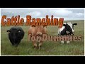 Chrome 网上应用店的 Cattle Ranch 将通过 OffiDocs Chromium 在线运行