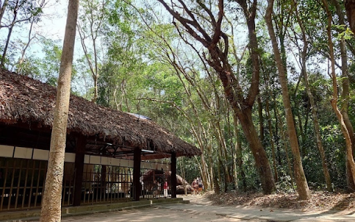 Củ Chi Tunnels – The Underground Fortress of Vietnam  from Chrome web store to be run with OffiDocs Chromium online