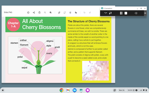 C Connection  from Chrome web store to be run with OffiDocs Chromium online