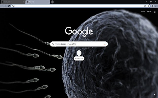 Cell, DNA, Egg จาก Chrome เว็บสโตร์ที่จะทำงานร่วมกับ OffiDocs Chromium ออนไลน์