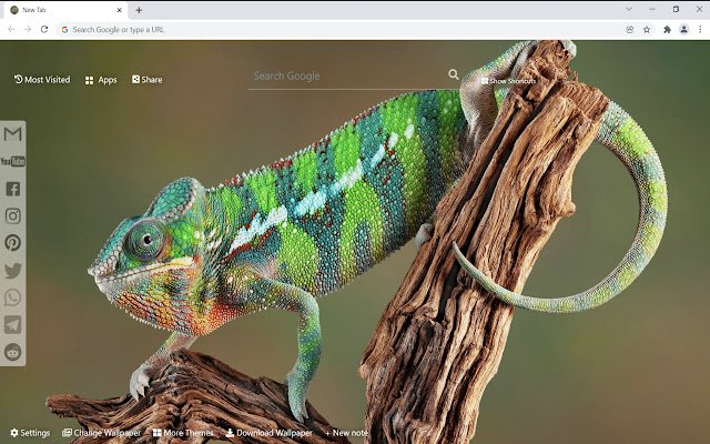 Chameleon Wallpaper HD Chrome web mağazasından Yeni Sekme, OffiDocs Chromium çevrimiçi ile çalıştırılacak