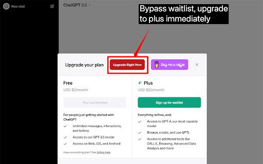Chatgpt Plus Waitlist Skipper  from Chrome web store to be run with OffiDocs Chromium online