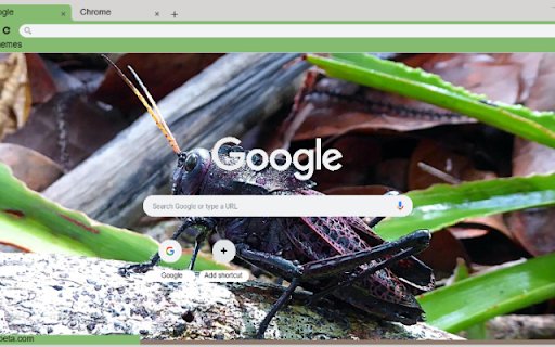 Chau Chau Den  from Chrome web store to be run with OffiDocs Chromium online