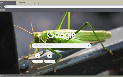 Chau Chau Xanh from Chrome web store to be run with OffiDocs Chromium online Chau Chau Xanh from Chrome web store to be run with OffiDocs Chromium online