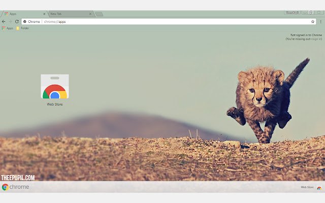 Cheetah Cub mula sa Chrome web store na tatakbo sa OffiDocs Chromium online