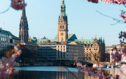 Cherry blossoms in the spring in the city of hamburg  from Chrome web store to be run with OffiDocs Chromium online