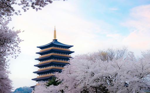 Cherry Blossoms Surrounding a Pagoda in Spring  from Chrome web store to be run with OffiDocs Chromium online
