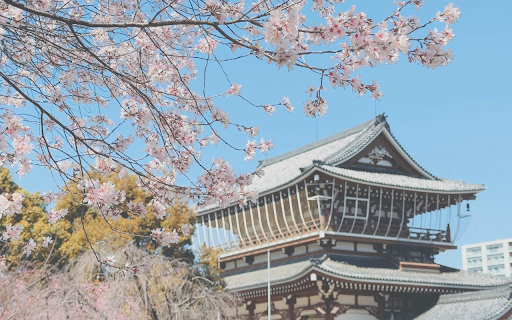 Cherry Trees and Temple in Nagoya  from Chrome web store to be run with OffiDocs Chromium online