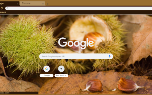Chestnut  from Chrome web store to be run with OffiDocs Chromium online