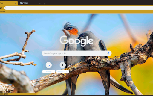 Chim  from Chrome web store to be run with OffiDocs Chromium online