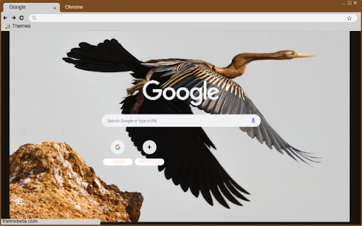 Chim cao co from Chrome web store to be run with OffiDocs Chromium online Chim cao co from Chrome web store to be run with OffiDocs Chromium online