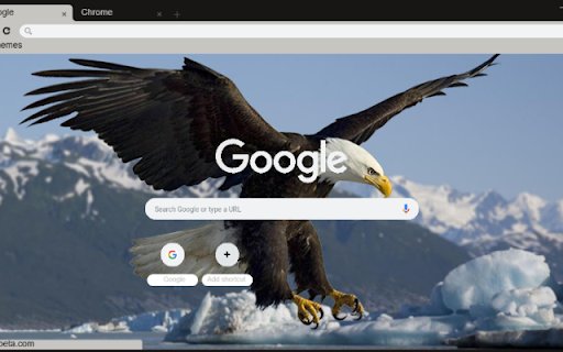 Chim dai bang  from Chrome web store to be run with OffiDocs Chromium online