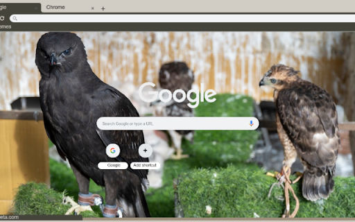Chim dai bang den  from Chrome web store to be run with OffiDocs Chromium online