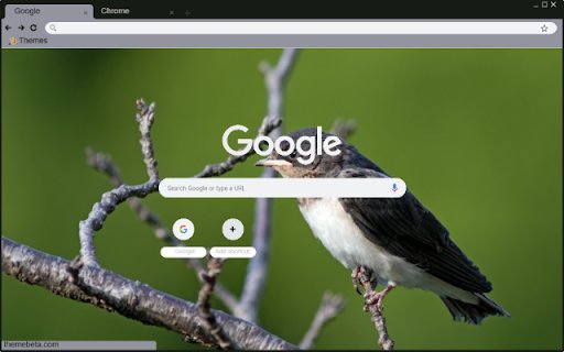 Chim En  from Chrome web store to be run with OffiDocs Chromium online