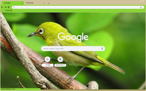 Chim khuyen  from Chrome web store to be run with OffiDocs Chromium online
