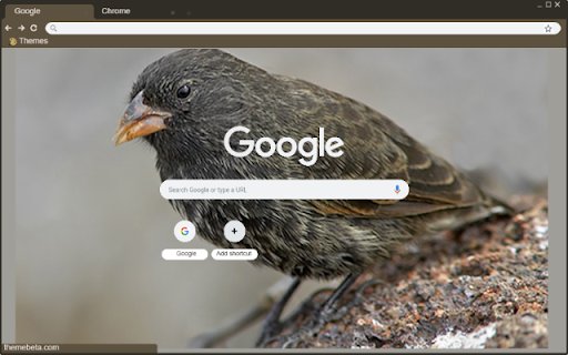 Chim Ma  from Chrome web store to be run with OffiDocs Chromium online
