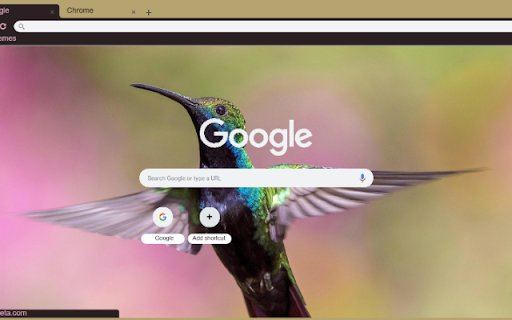 Chim Ruoi  from Chrome web store to be run with OffiDocs Chromium online