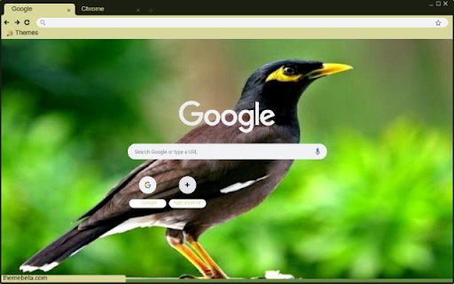 Chim sao  from Chrome web store to be run with OffiDocs Chromium online