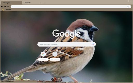 Chim Se from Chrome web store to be run with OffiDocs Chromium online Chim Se from Chrome web store to be run with OffiDocs Chromium online