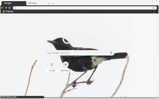 Chim Se Den  from Chrome web store to be run with OffiDocs Chromium online