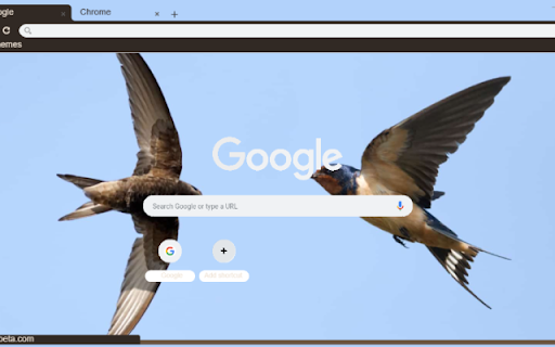 Chim Yen  from Chrome web store to be run with OffiDocs Chromium online